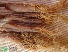 春天能吃紅參嗎？春天可以吃紅參嗎？
