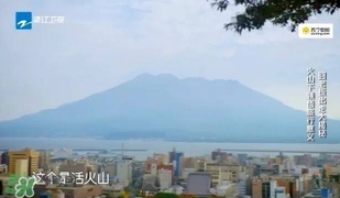 明治膠原蛋白粉怎么吃？明治膠原蛋白粉用法用量