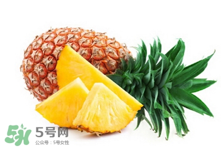 3月份有菠蘿吃嗎？三月份菠蘿可以吃嗎？