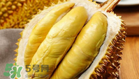 什么人不能吃榴蓮？榴蓮不適合什么人群吃？