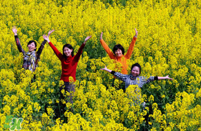 四月份還有油菜花嗎？4月份還有油菜花嗎？