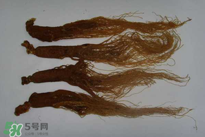 紅參可以天天吃嗎？紅參的功效與作用