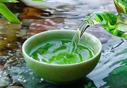 清明茶什么時候采？采清明茶什么時候結(jié)束？