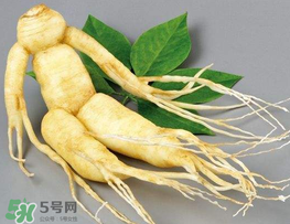 春天能吃高麗參嗎？春天可以喝高麗參湯嗎？