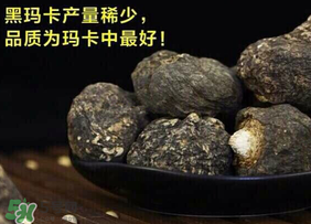 春天能吃瑪卡嗎？女人春天能吃瑪卡嗎？