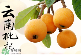 枇杷能放冰箱嗎？枇杷可以放冰箱保存嗎？