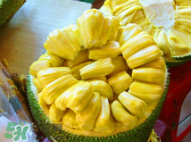 菠蘿蜜的營養(yǎng)價值 吃菠蘿蜜有什么好處？