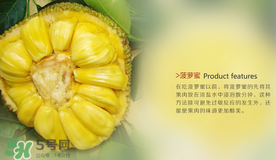 菠蘿蜜和榴蓮的區(qū)別 菠蘿蜜和榴蓮哪個(gè)好吃？