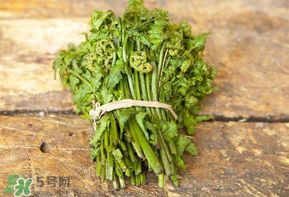 糖尿病能吃蕨菜嗎？糖尿病可以吃蕨菜嗎？