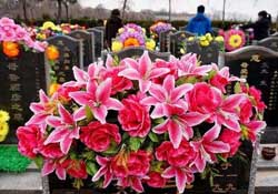 清明不過社是什么意思？清明不過社的社是哪天？