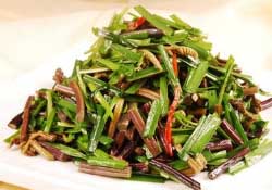 糖尿病能吃蕨菜嗎？糖尿病可以吃蕨菜嗎？