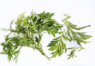 艾草可以治痛經(jīng)嗎？艾草能治月經(jīng)不調(diào)嗎？