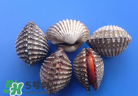 泥蚶怎么讀？泥蚶做法