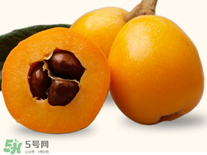 六個(gè)月寶寶可以吃枇杷嗎？6個(gè)月的寶寶能吃枇杷嗎？