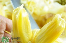 菠蘿蜜怎么吃？菠蘿蜜好吃嗎？