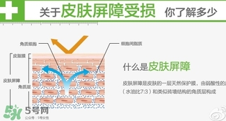 玉澤和至本哪個好？玉澤和至本區(qū)別對比