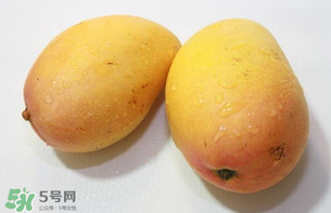 芒果哪里的最好吃？芒果哪種品種好吃？