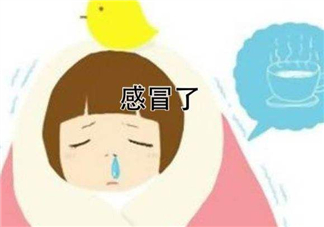 為什么總是感冒？總是感冒怎么回事？