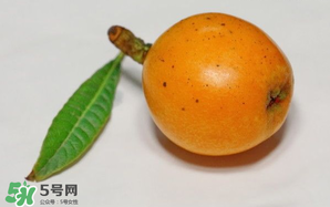 枇杷可以和蔥一起煮嗎？蔥和枇杷葉一起煮可以喝嗎？