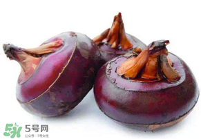 枇杷可以和荸薺一起煮水嗎？枇杷和荸薺能一起吃嗎？
