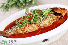 枇杷和魚(yú)能一起吃嗎？吃完魚(yú)可以吃枇杷嗎？