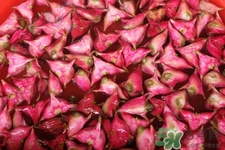 菱角的營養(yǎng)價(jià)值 菱角的功效與作用