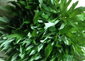 清明草是艾草嗎？清明菜是什么草？