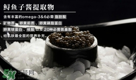 至本是什么牌子？至本什么檔次？