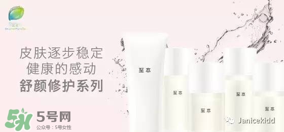 至本是什么牌子？至本什么檔次？