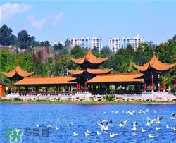 4月份去昆明穿什么？四月份去昆明穿什么衣服？