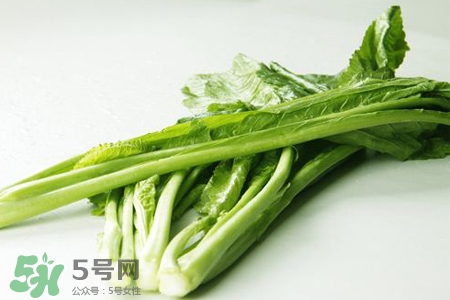 春分要吃春菜嗎？春分為什么要吃春菜？