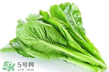 春菜為什么會苦？春菜發(fā)苦能吃嗎？