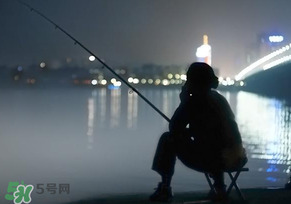 春分能夜釣嗎？春分能釣鯉魚嗎？
