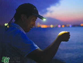 春分能夜釣嗎？春分能釣鯉魚嗎？