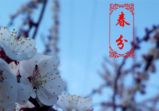 春菜為什么會(huì)苦？春菜發(fā)苦能吃嗎？