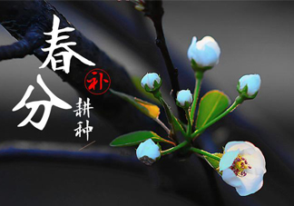 春分吃春菜有什么好處？春菜有什么營養(yǎng)價值？