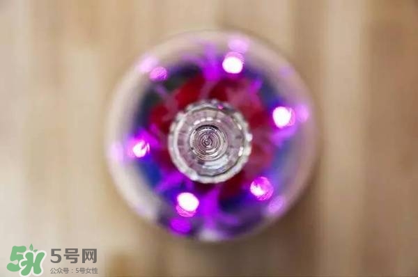 camino美女與野獸音響多少錢？camino玫瑰藍牙音箱價格
