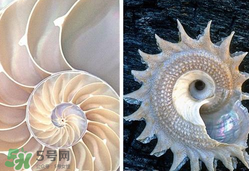 珍珠貝母表盤好嗎？珍珠貝母表盤耐用嗎？