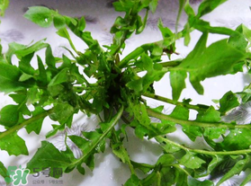 春天吃薺菜好嗎？春天吃薺菜有什么好處？