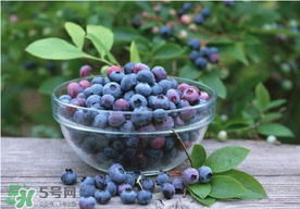 藍(lán)莓一天吃多少為宜？藍(lán)莓每天吃多少合適？