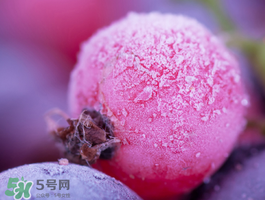 藍莓變紅可以吃嗎？藍莓發(fā)紅是壞掉了嘛？