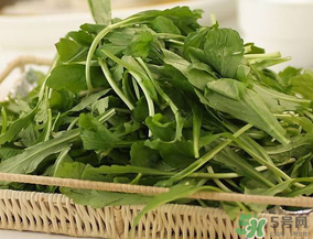 薺菜有毒嗎？吃薺菜會中毒嗎？