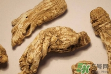 川芎的營養(yǎng)價(jià)值 川芎的功效與作用