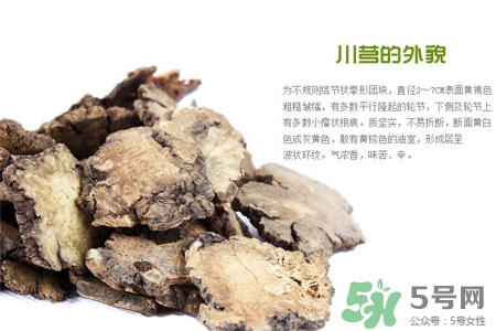 川芎的營養(yǎng)價(jià)值 川芎的功效與作用