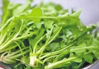 便秘能吃薺菜嗎？便秘可以吃薺菜嗎？