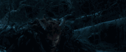 野獸派美女與野獸水晶球多少錢？野獸派音樂水晶球價格