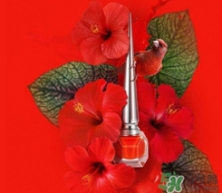 cl指甲油多少錢？cl紅底鞋指甲油專柜價格