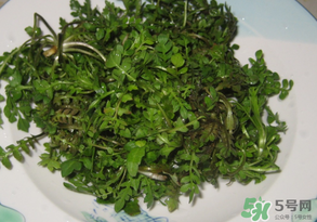 薺菜水有什么好處？薺菜水的功效與作用