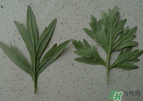 ?蒿子怎么去除苦味？?蒿子粑粑苦是什么原因？