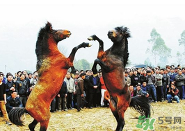 三月三有什么禁忌？三月三有什么講究？